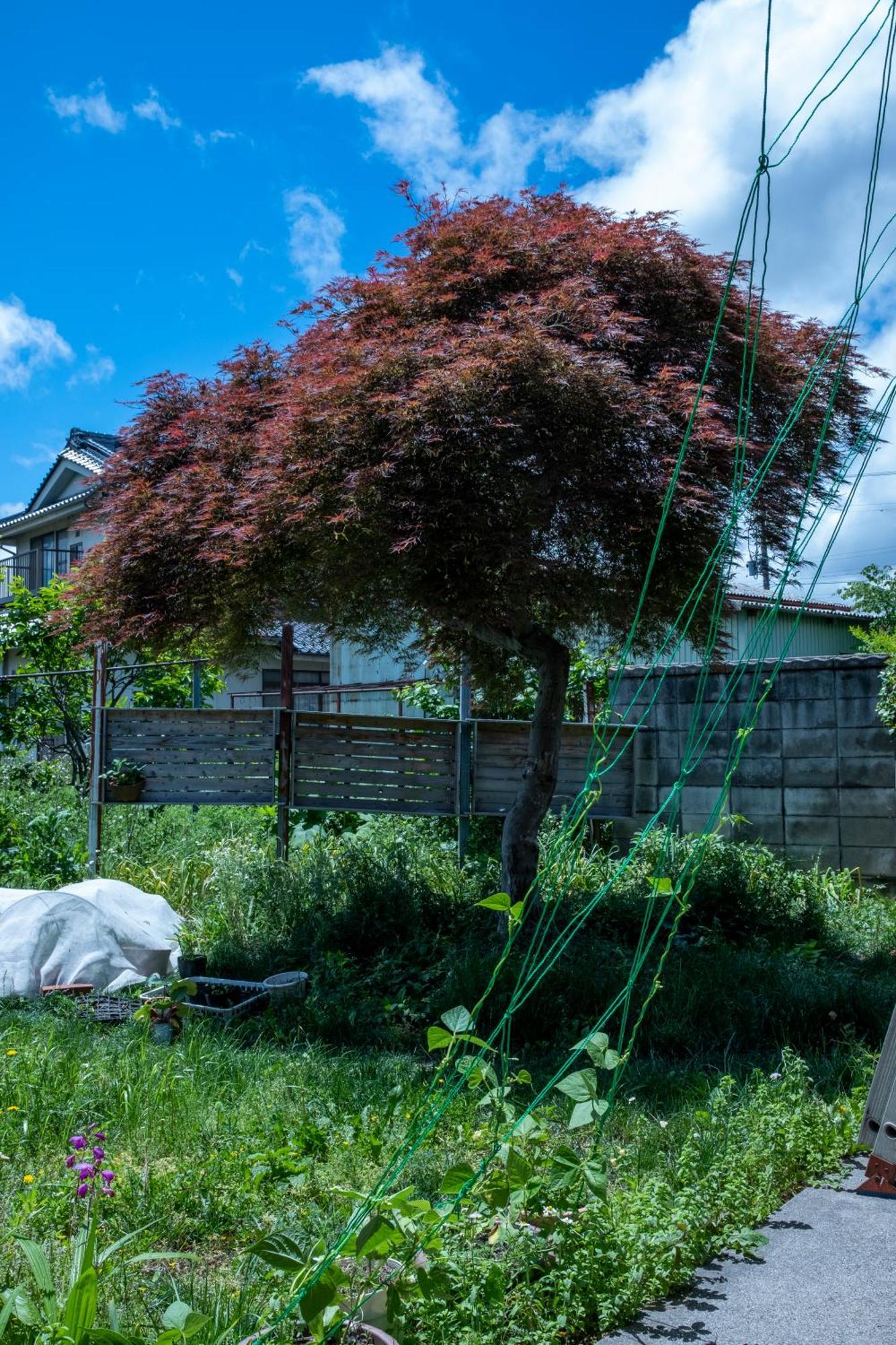 Nonna Milli Appartement Matsumoto Buitenkant foto